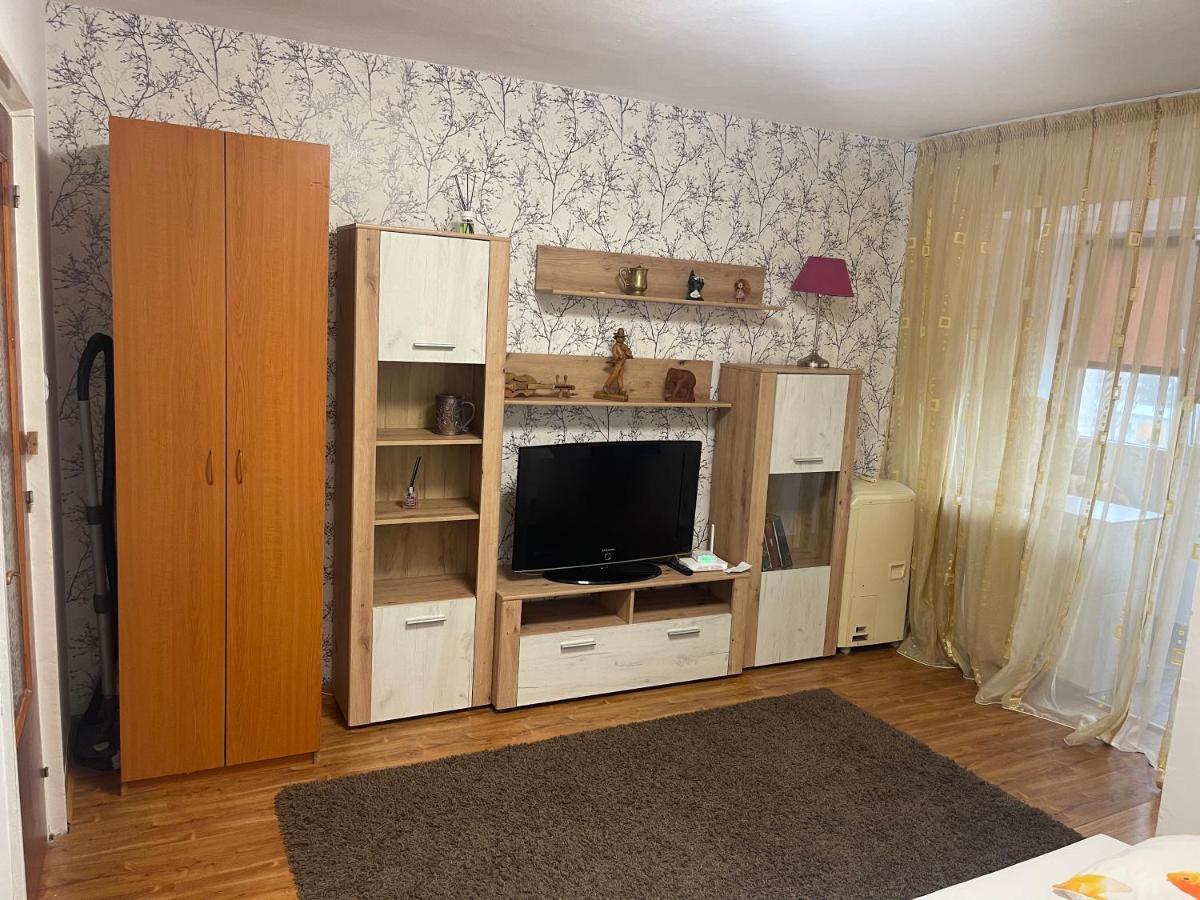Garsoniera -Single Room 91 Бухарест Экстерьер фото